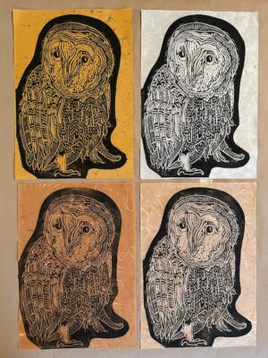 Tyto Alba (Barn Owl, Set of 4) I