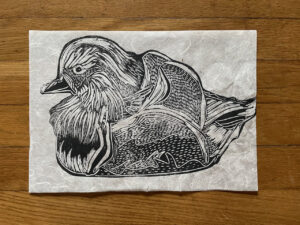 Aix galericulata (Mandarin duck) Traditional Print